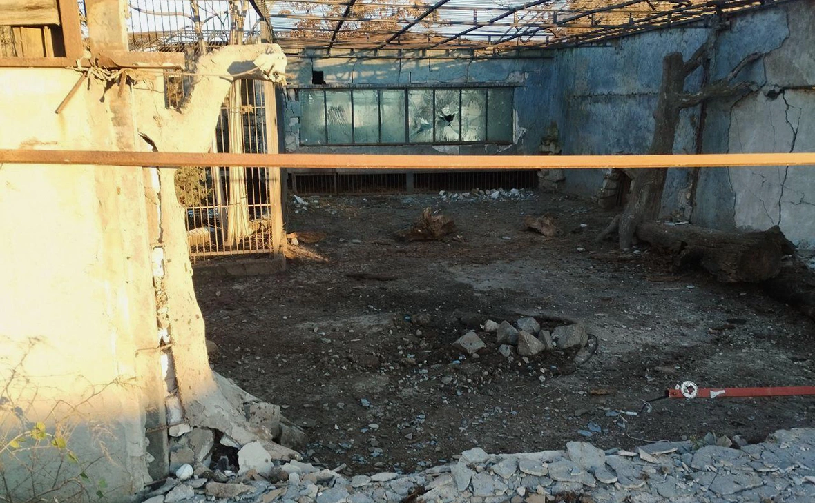 BalitskyEV / Telegram