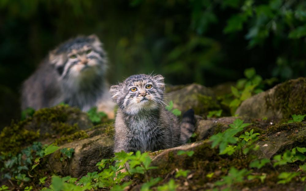 Фото: Shutterstock