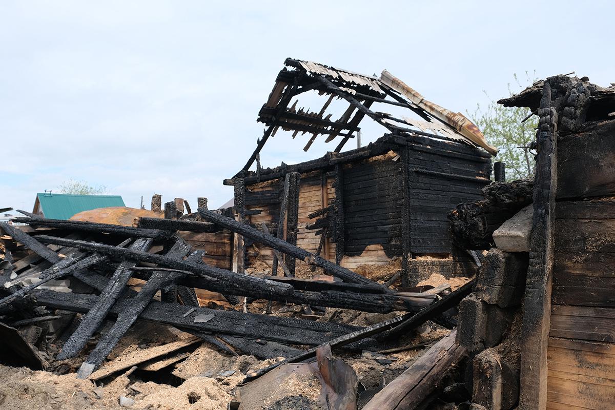 Фото: ElenaEmiliya / Shutterstock / FOTODOM