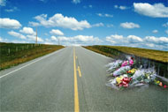Цветы на дорогах могут быть смертельно опасны
