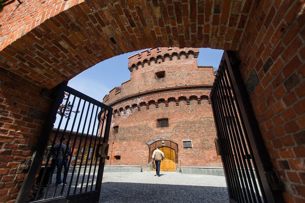 Александр Подгорчук