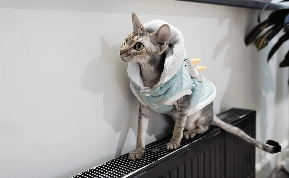 Александр Авилов / АГН «Москва»