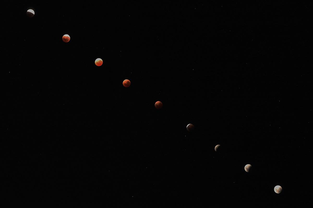 Окленд, Новая Зеландия