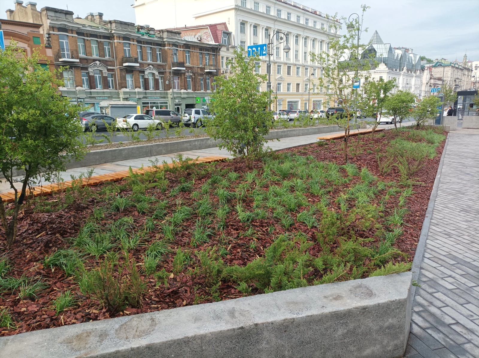 РБК Приморье