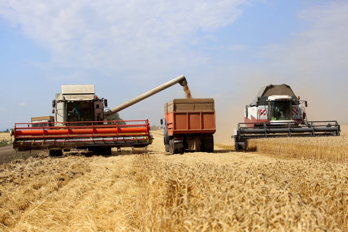Фото: пресс-служба КубГАУ