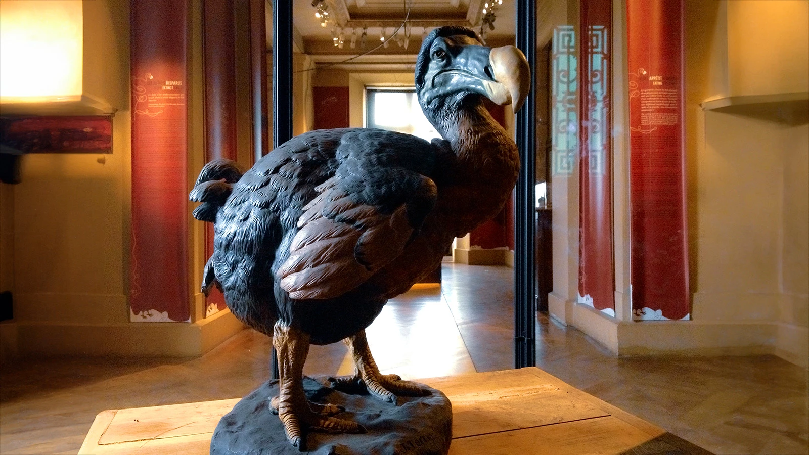 Птица додо