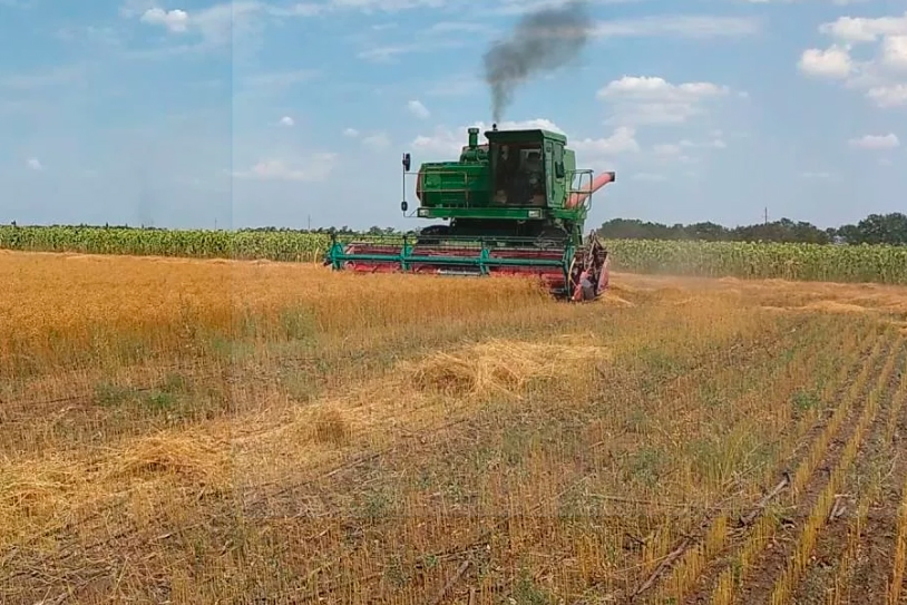 Вологодские хозяйства запрессовали 2,3 тысячи тонн необработанного льна