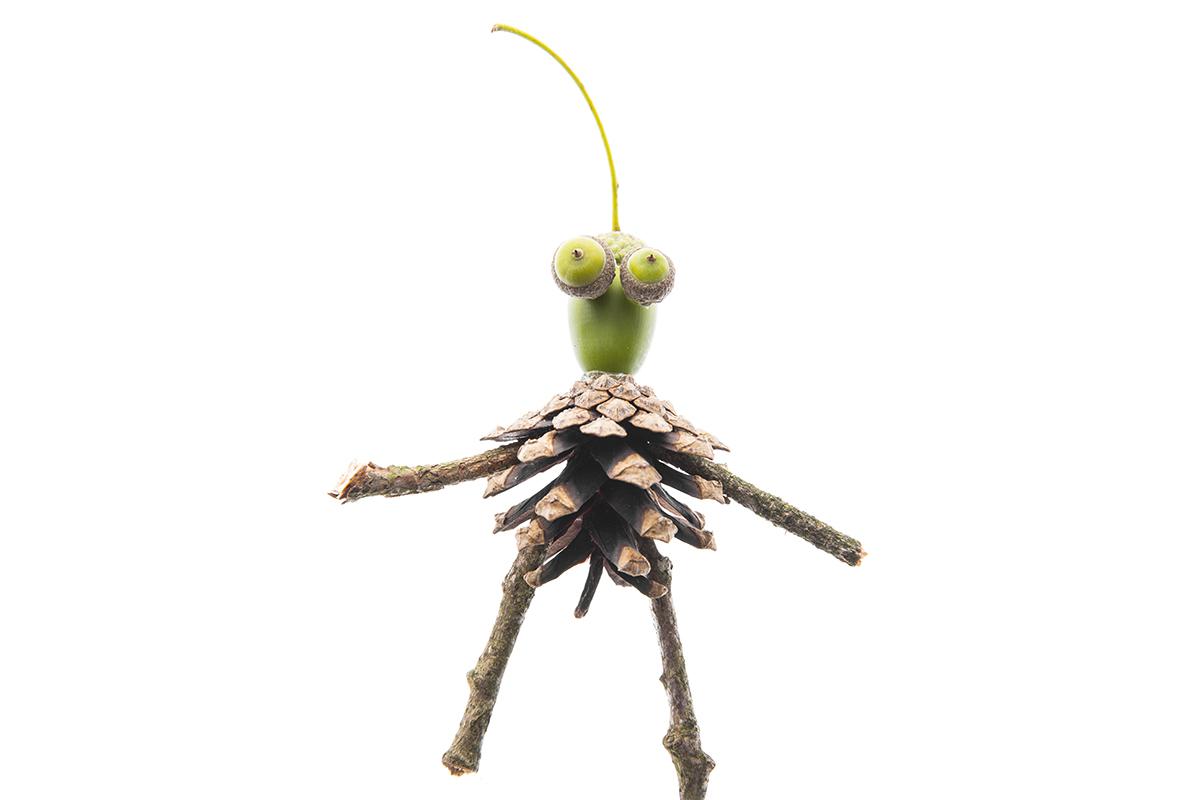 Из желудей легко сделать забавных насекомых — муравьев, божьих коровок или жуков-оленей