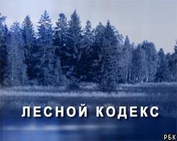 М.Фрадков: Лесной кодекс должен быть выгоден народу