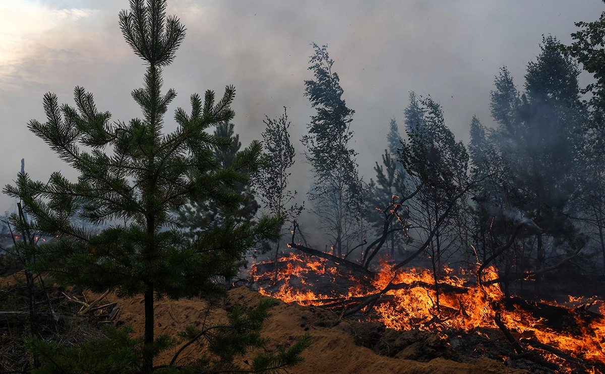 Александр Рюмин / ТАСС