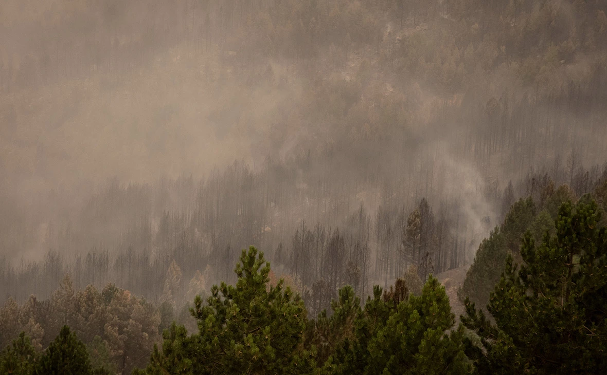 Chris McGrath / Getty Images