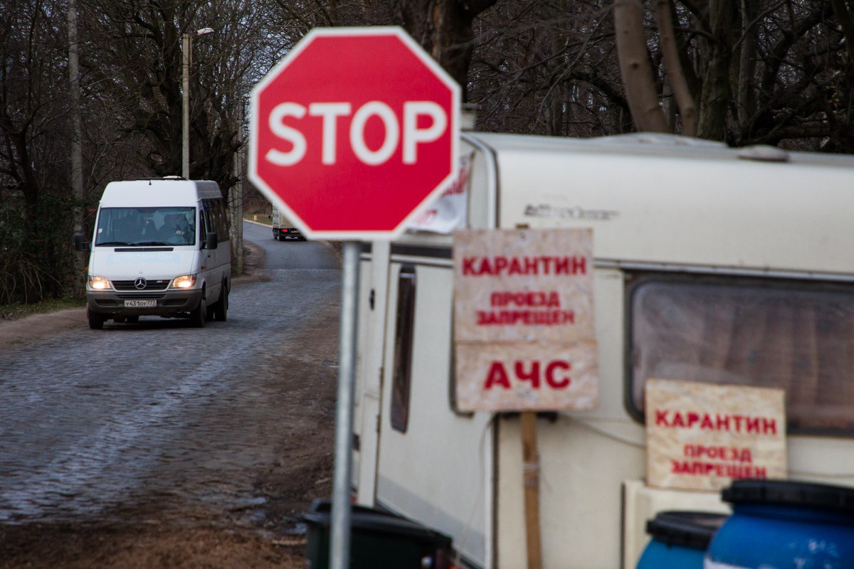 Фото: Александр Подгорчук