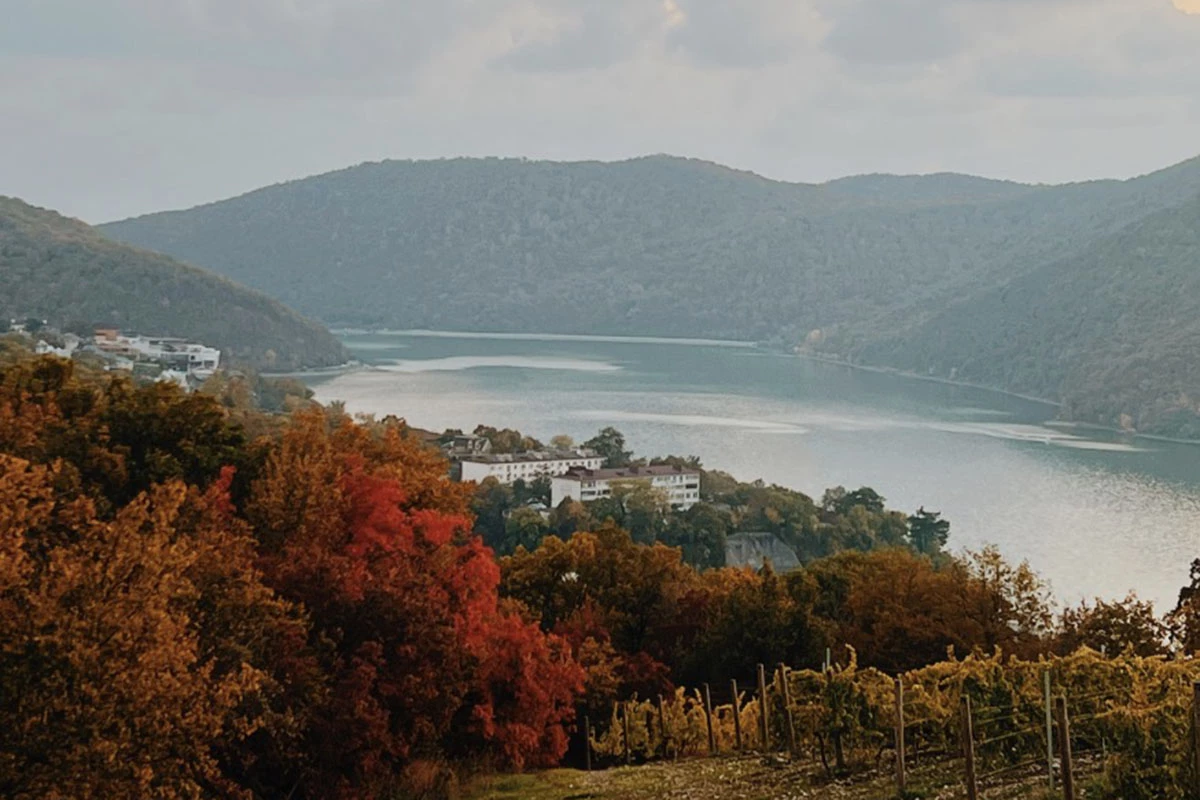 «Абрау-Дюрсо»