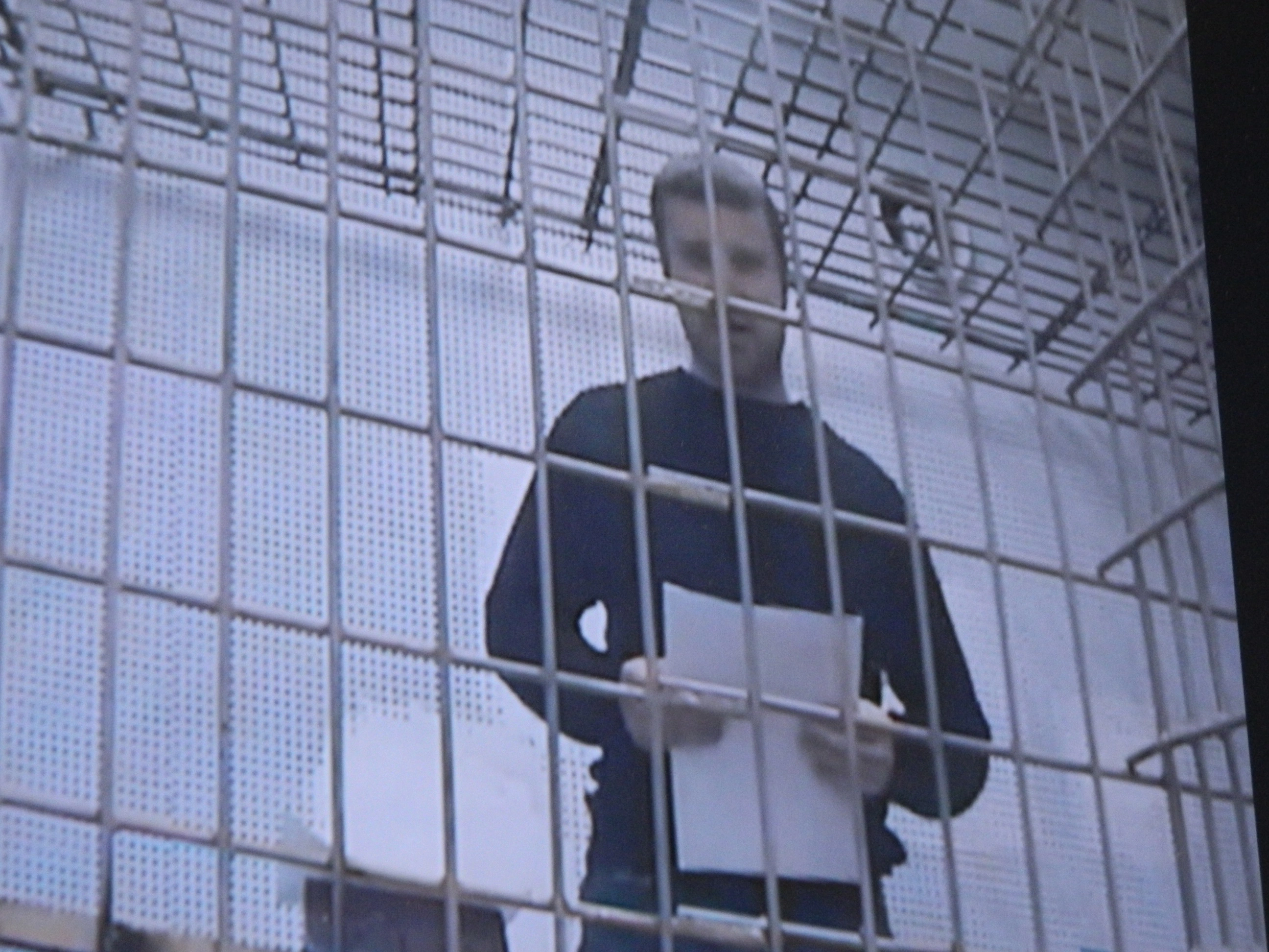 Михаил Лобанов