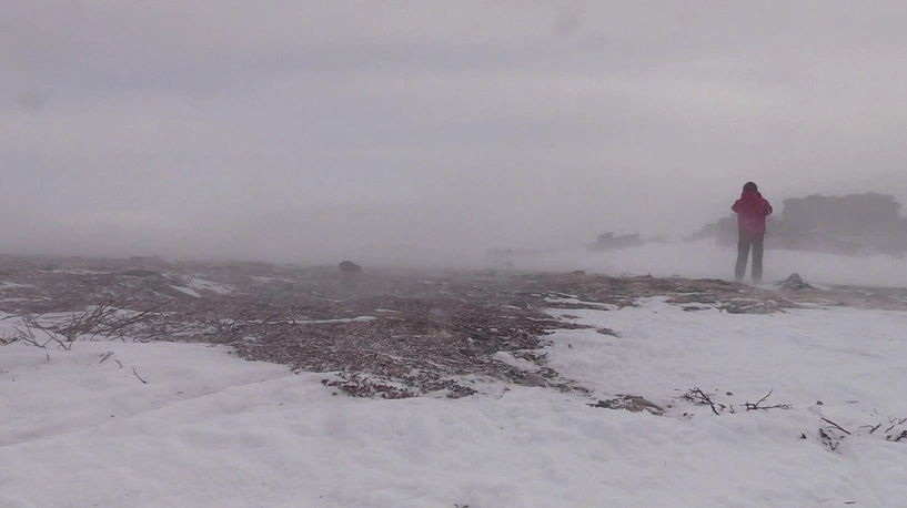 Дмитрий Антоненков, 66.RU