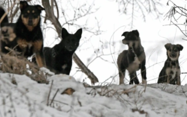 Илья Наймушин / РИА Новости