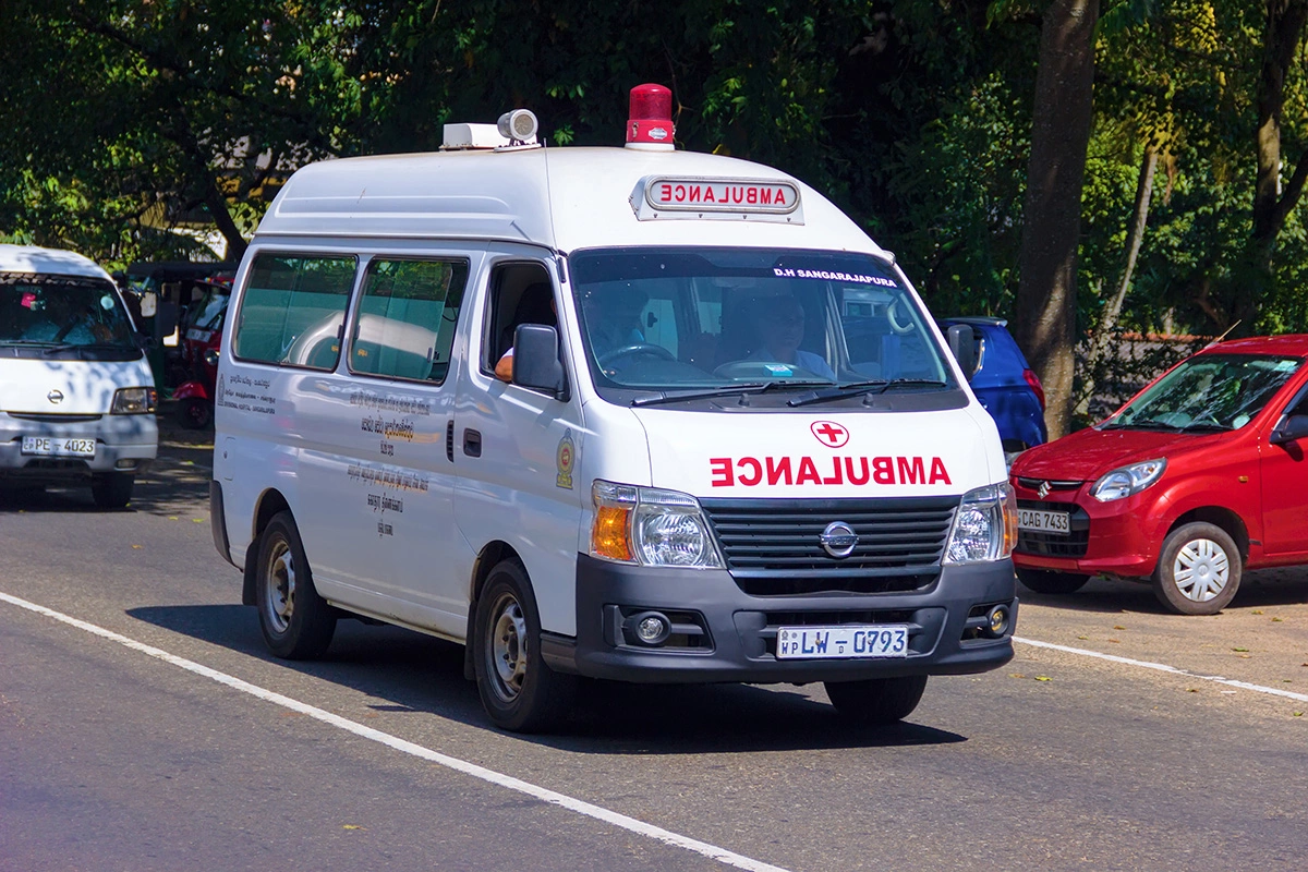 Лихорадка чикунгунья: в чем опасность и как лечить