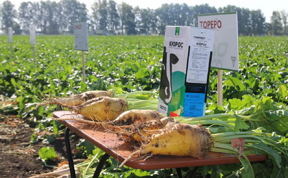 Минсельхоз РБ