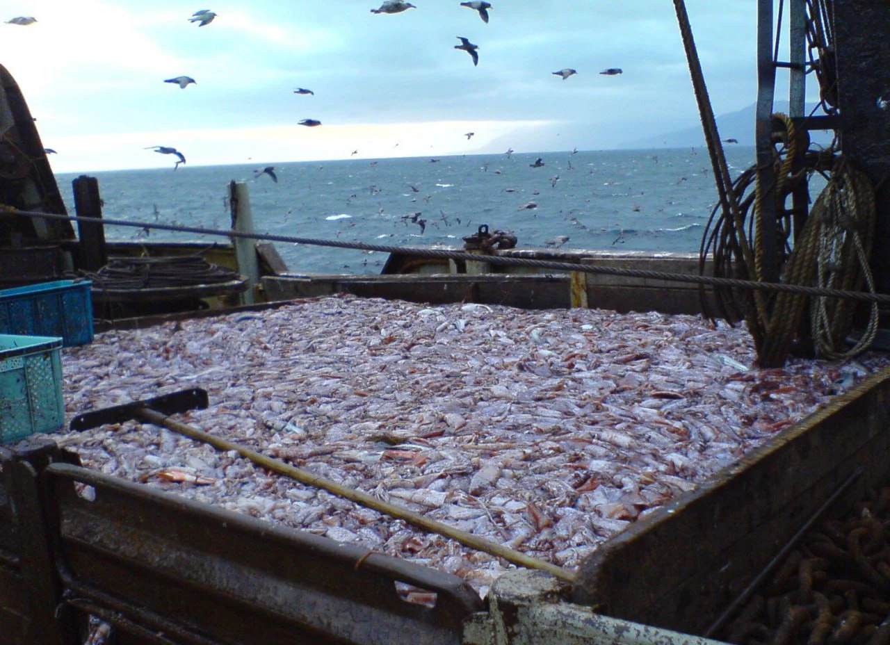 РБК Приморье