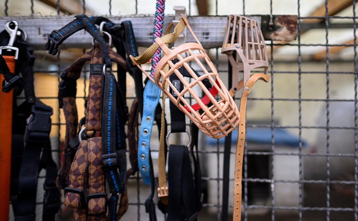 Anke Waelischmiller / SVEN SIMON / Global Look Press