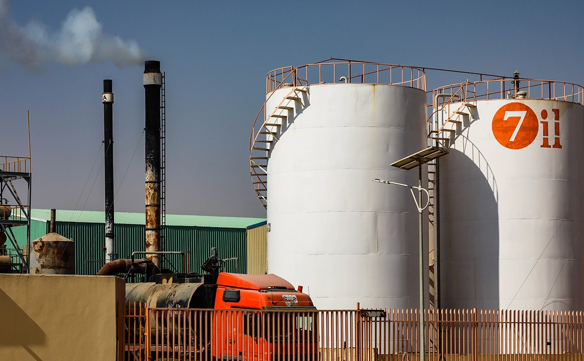 Leo Morgan / Shutterstock