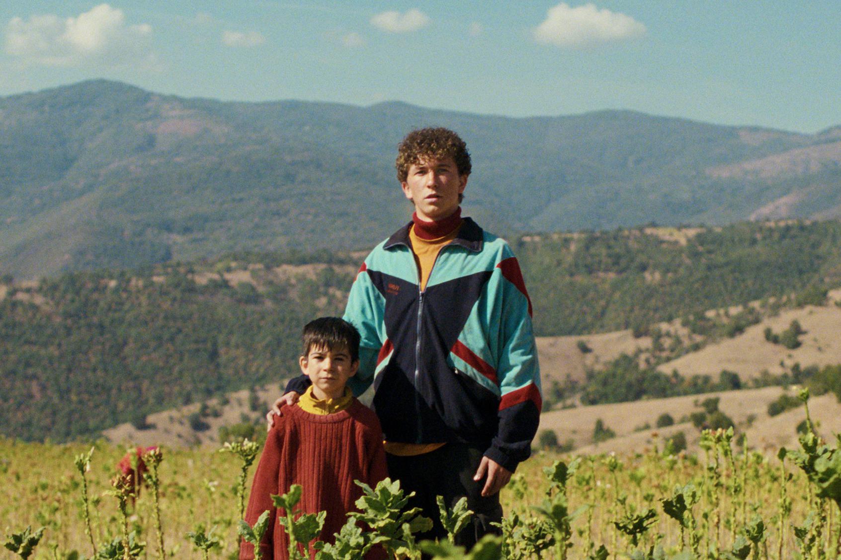 Эль-Гуна-2025: розовая овца и непрошибаемые «молочные зубы»