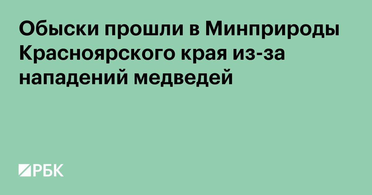 Обыски прошли в Минприроды Красноярского края из-за нападений медведей