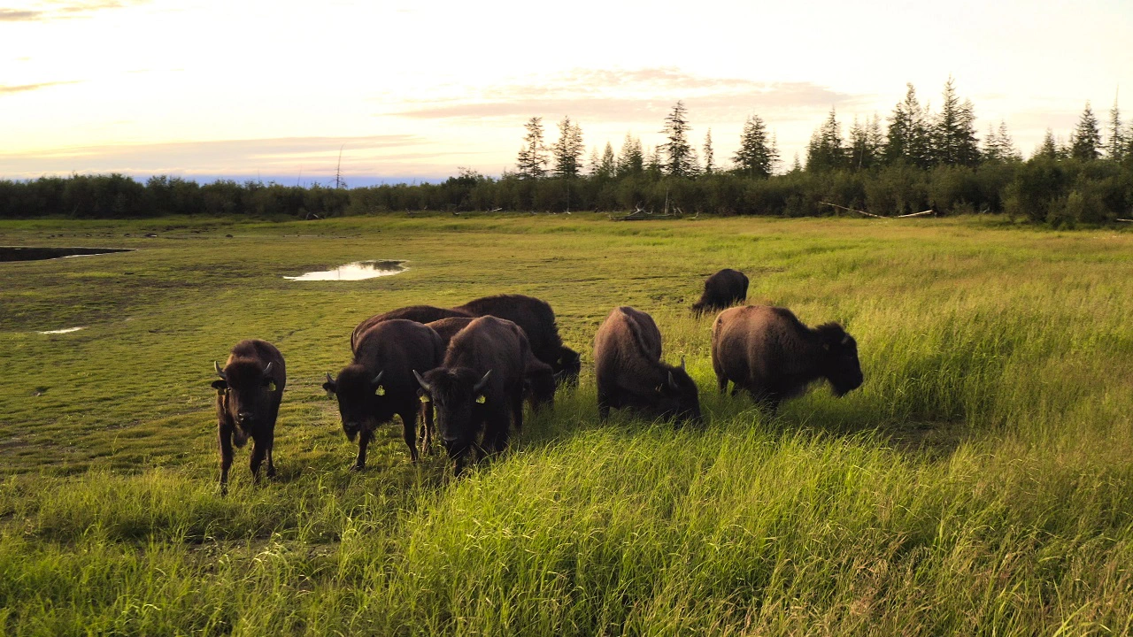 Из личного архива Никиты Зимова