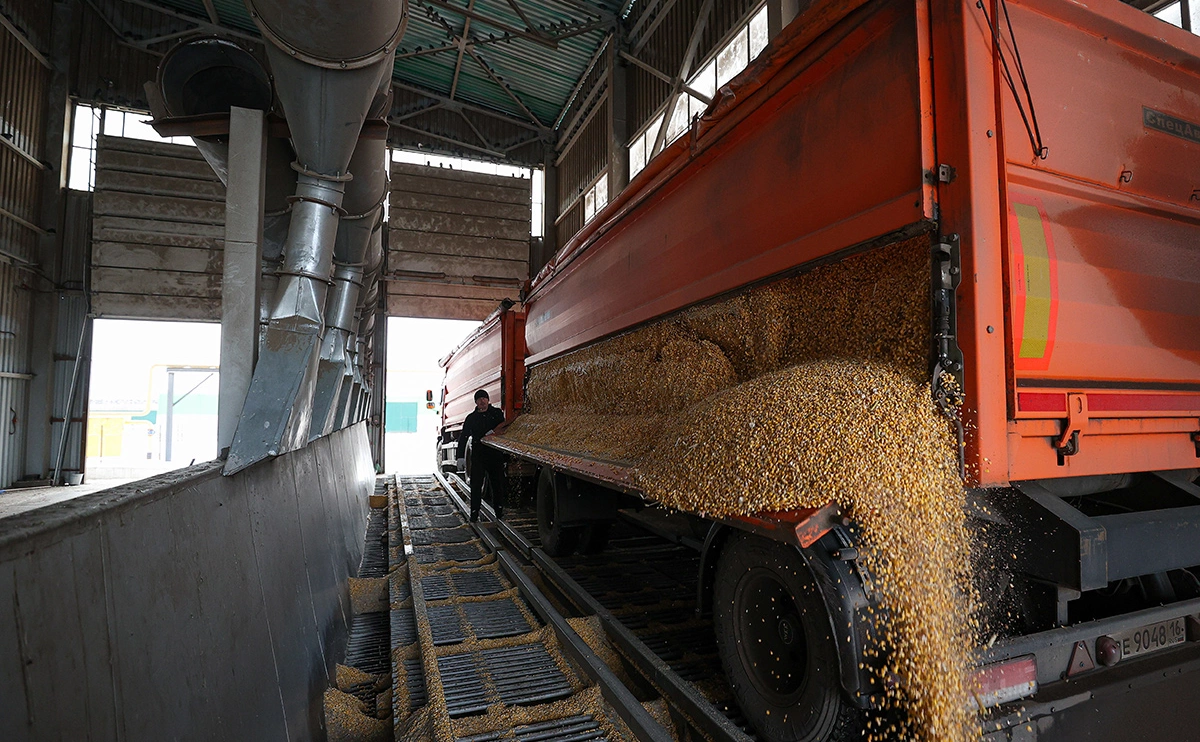 Егор Алеев / ТАСС