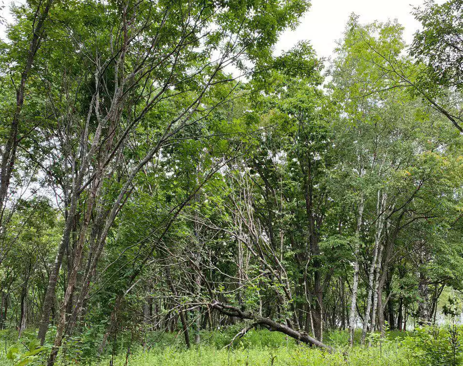 РБК Приморье