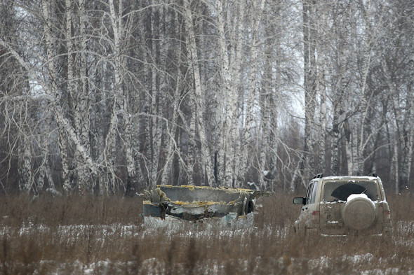 Что известно об аварийной посадке АН-124 в Толмачево, — фото