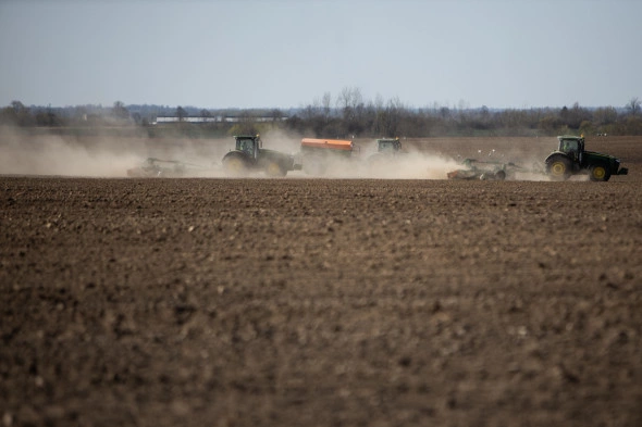 Александр Подгорчук