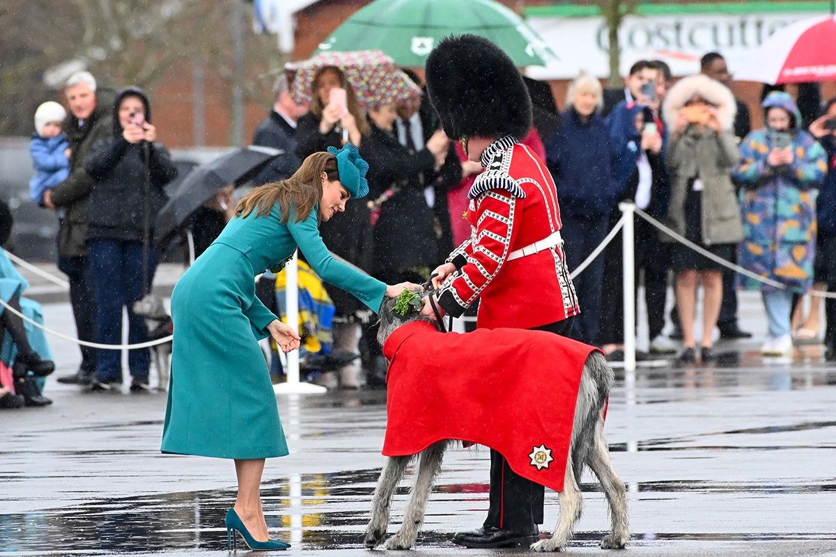 Stuart C. Wilson / Getty Images