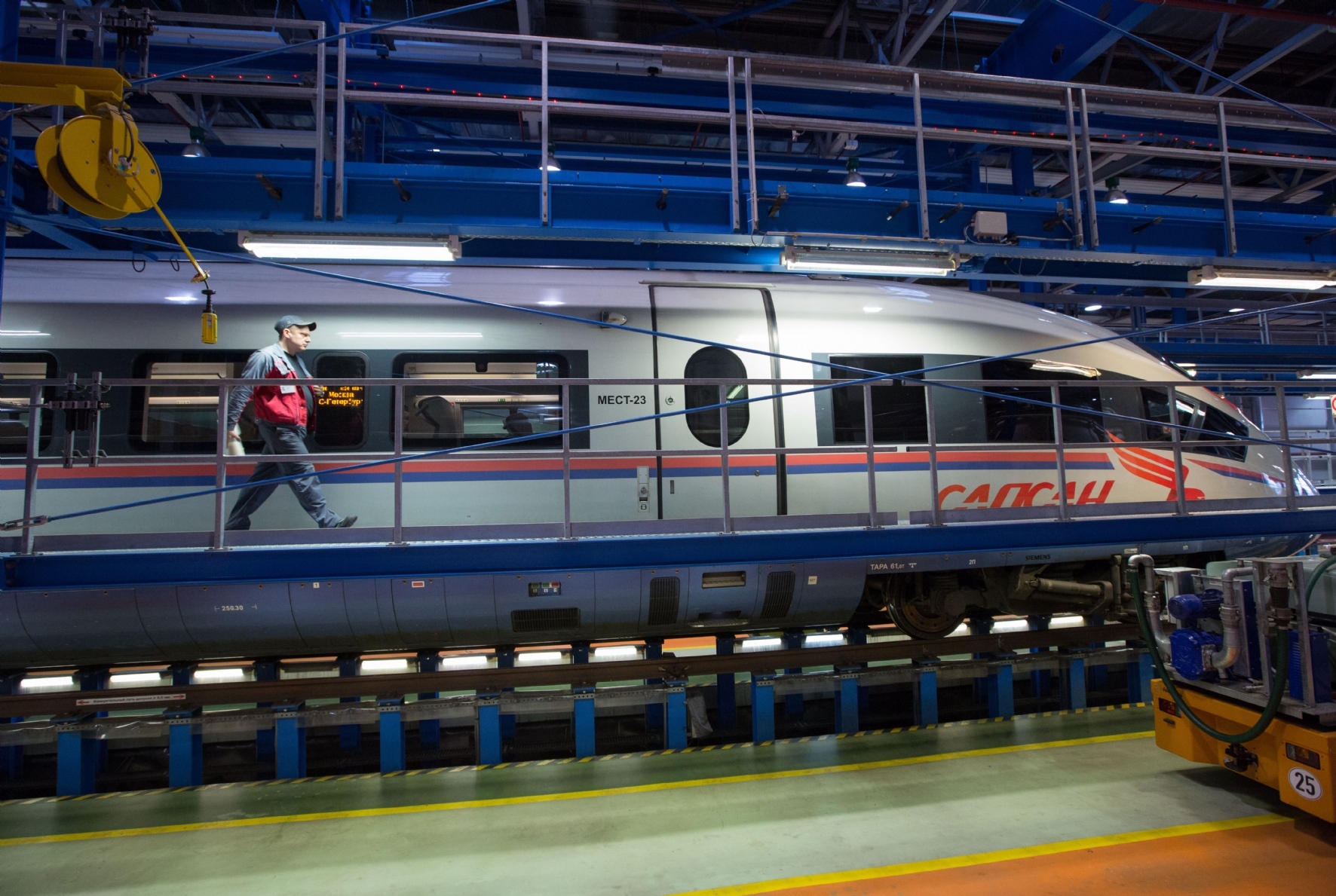 Фото: Куликов Сергей / PhotoXPress.ru