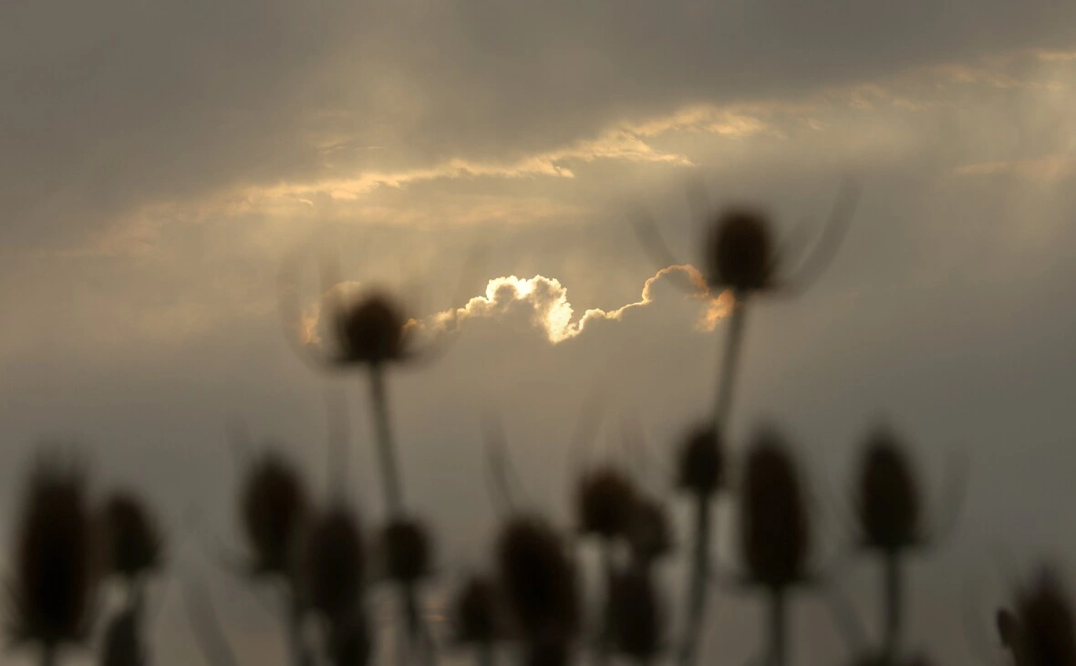 Thomas Warnack / dpa / Global Look Press 