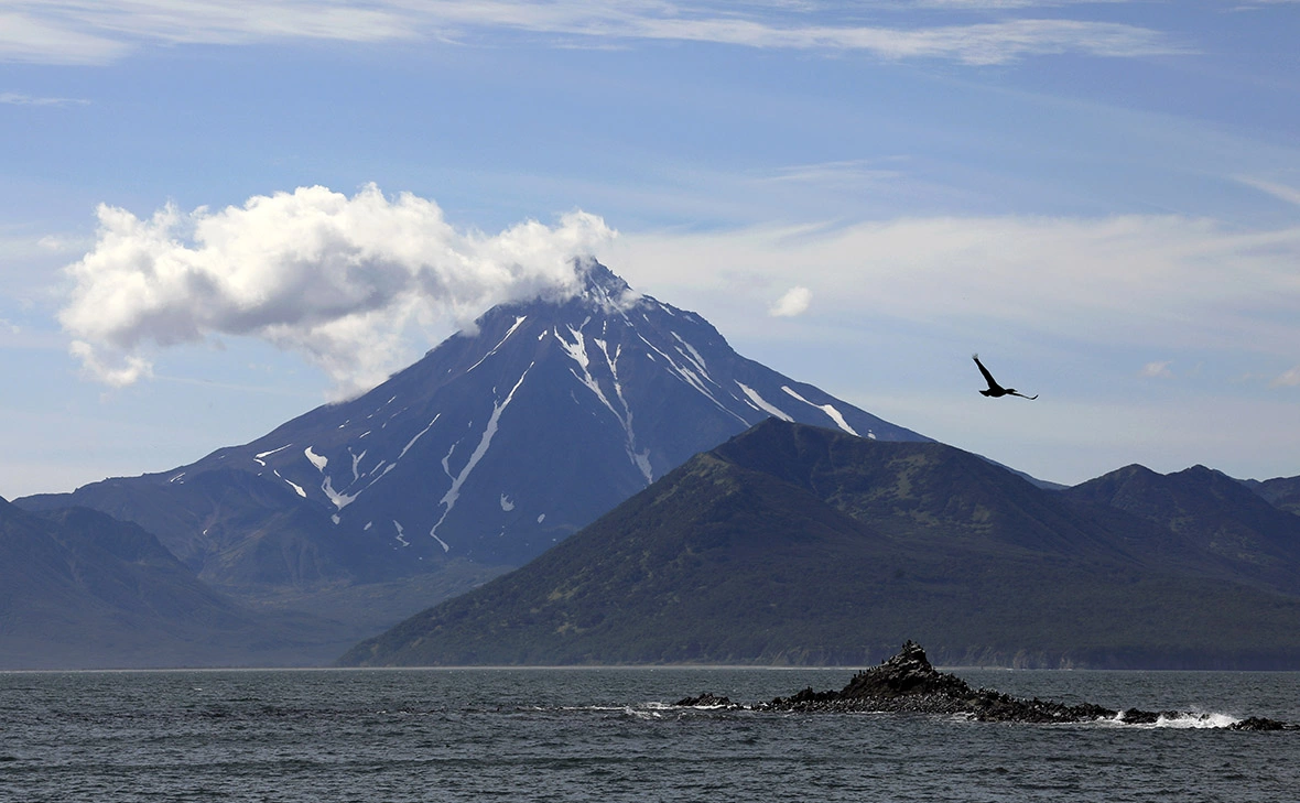 Екатерина Штукина / ТАСС