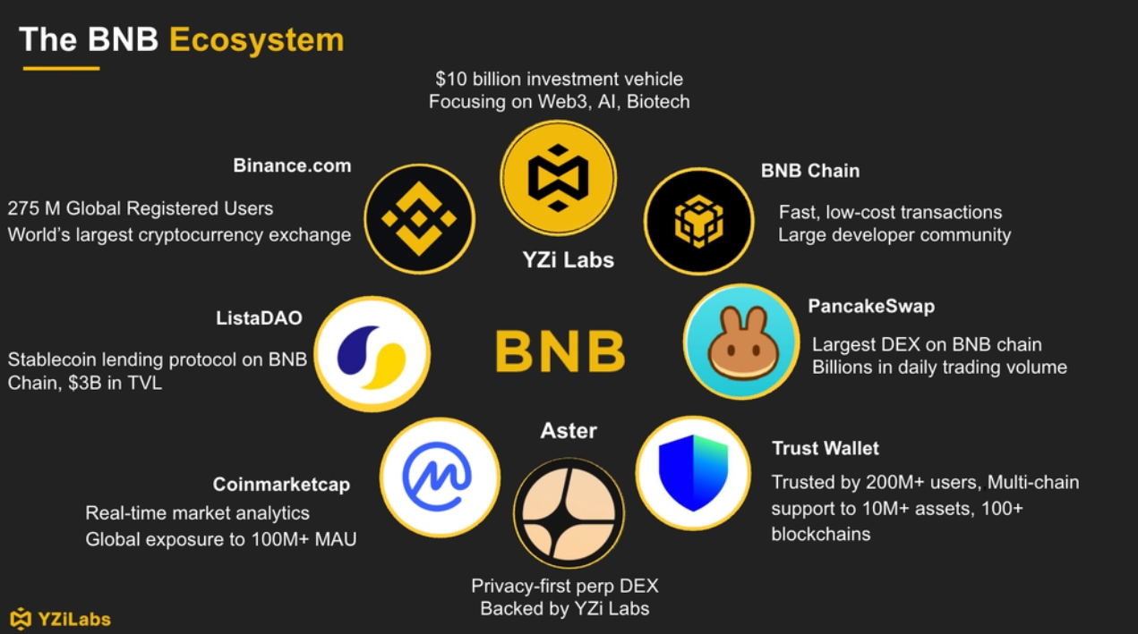 Экосистема BNB. Источник: YZi Labs