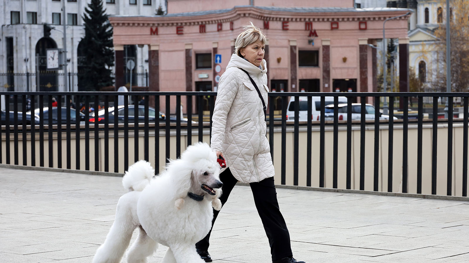 Росстандарт назвал требования к обустройству мест для выгула собак