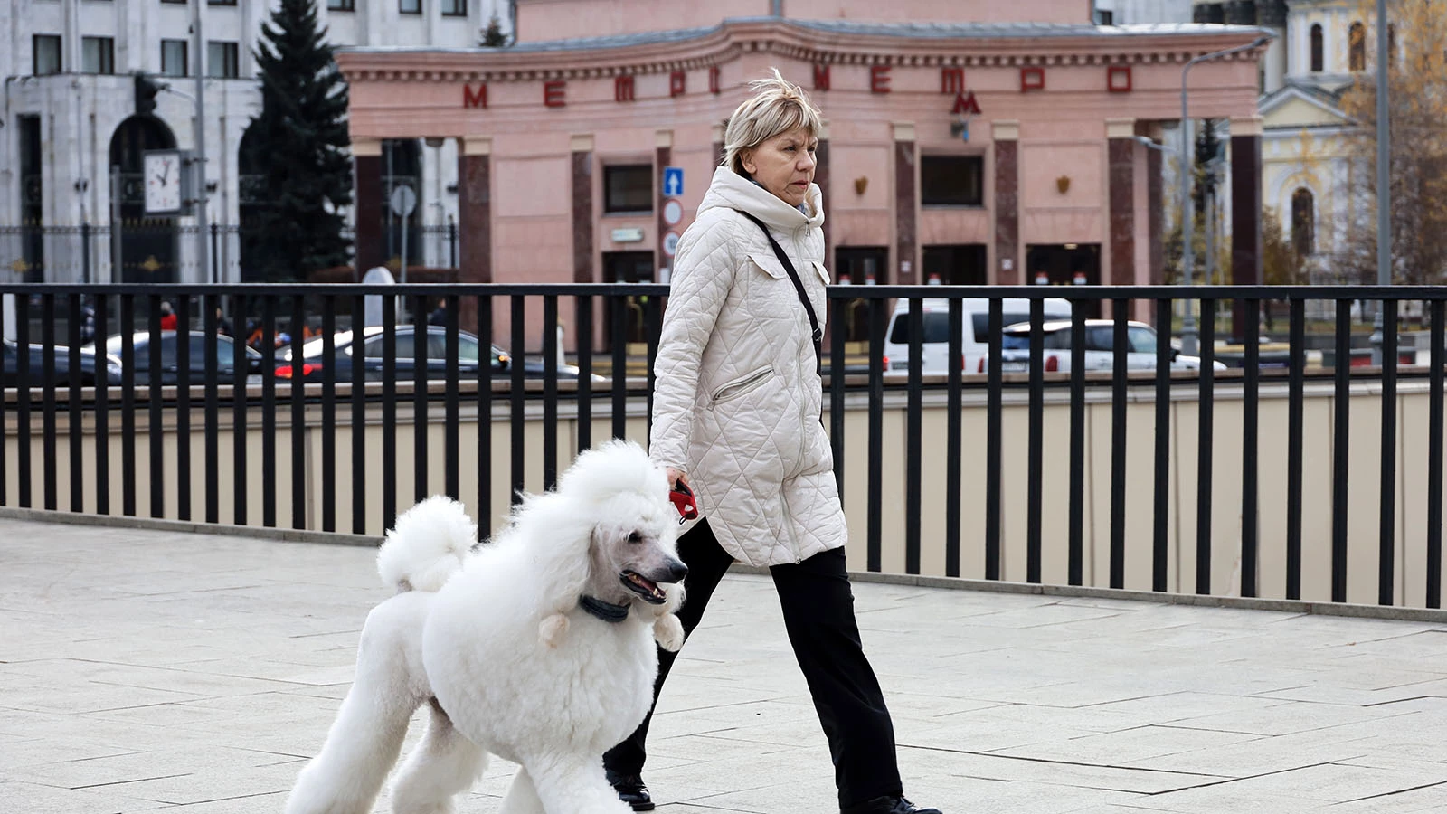 Росстандарт назвал требования к обустройству мест для выгула собак