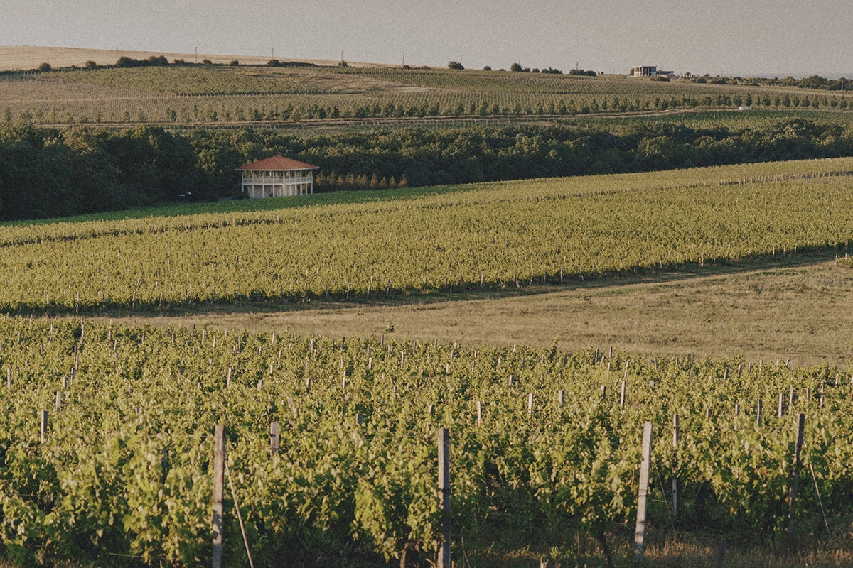 Красивые винодельни Кубани, которые стоит посетить