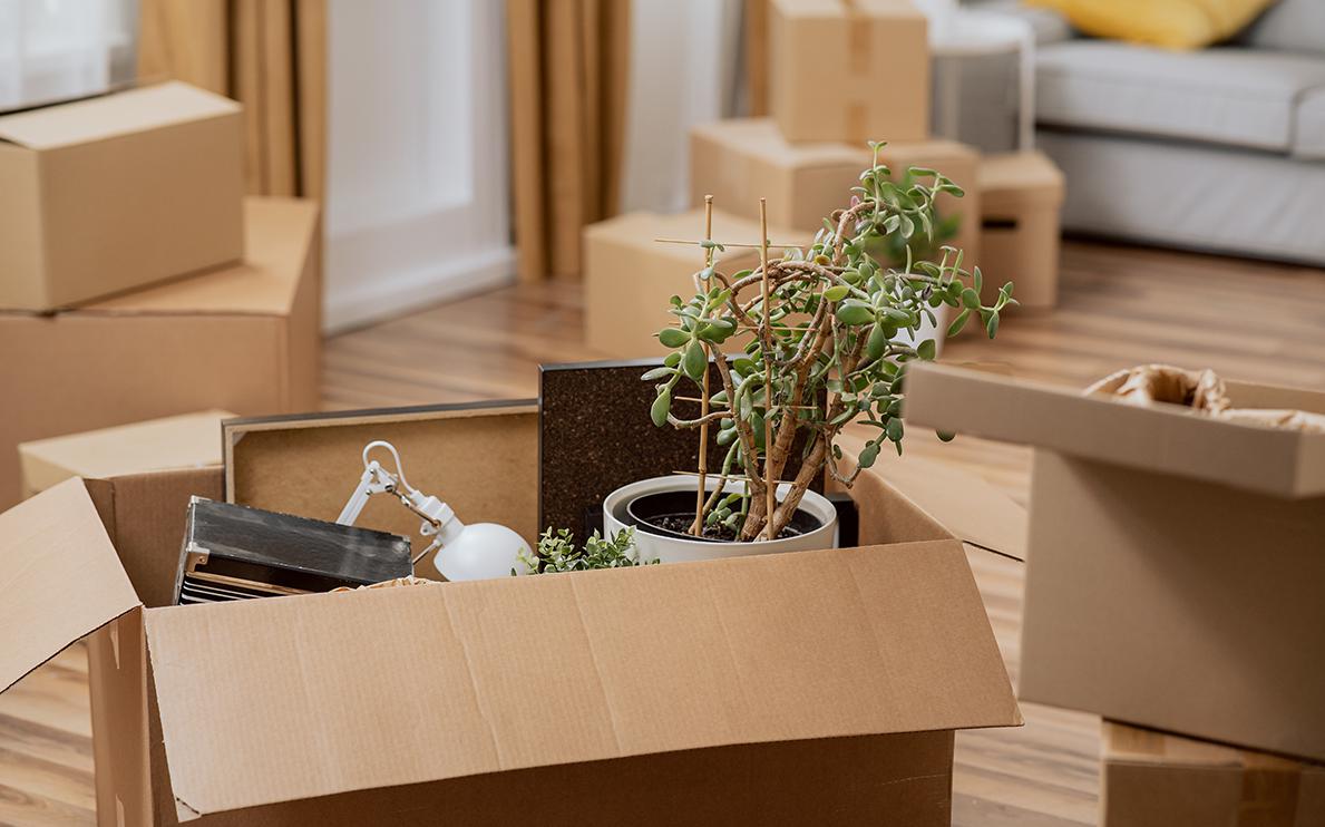 Долину выселили: как это отразится на судебной практике по таким делам