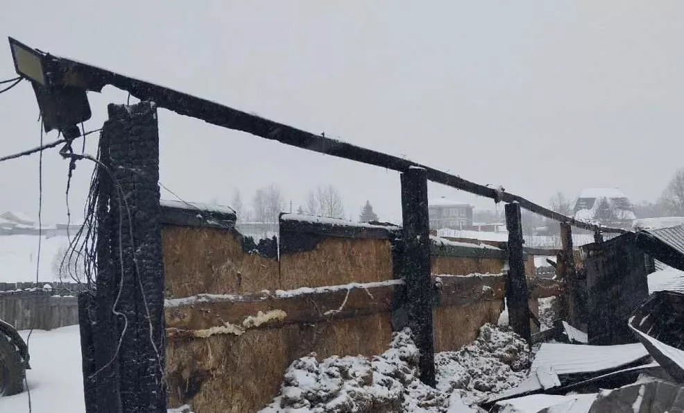 ГУ МЧС по Нижегородской области