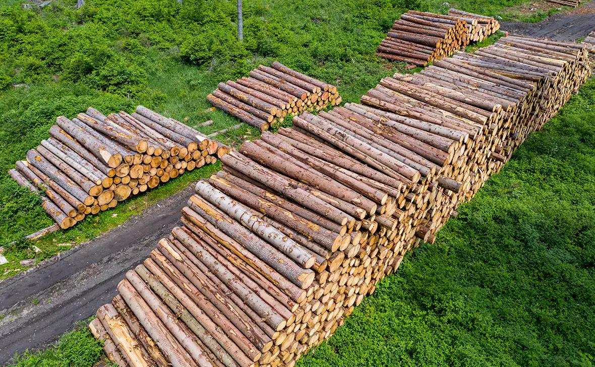 Jan Woitas / DPA / ТАСС