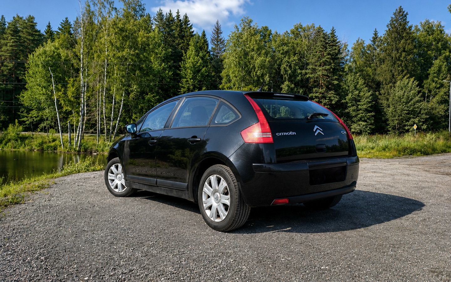 Слабое место всех&nbsp;Citroёn С4 &mdash; это &laquo;пенки&raquo; порогов. Это декоративные элементы,&nbsp;выполненные из тонкого металла. Немного повредил или погнул &mdash; и внутри начинается коррозия&nbsp;