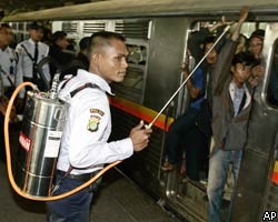 "Зайцев" в индонезийских поездах будут поливать краской