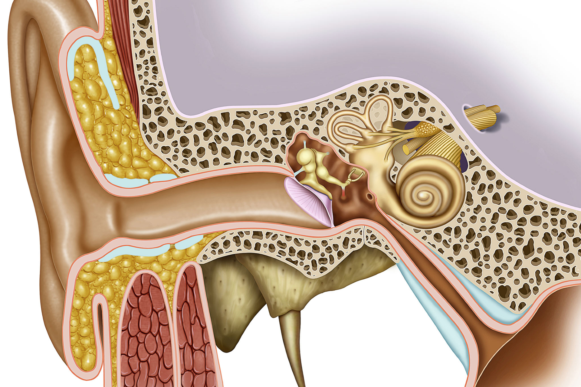 Как снять заложенность уха?