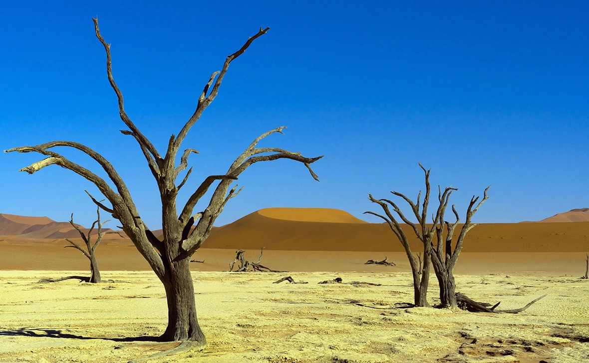 Holger Weitzel / imagebroker.com / Global Look Press