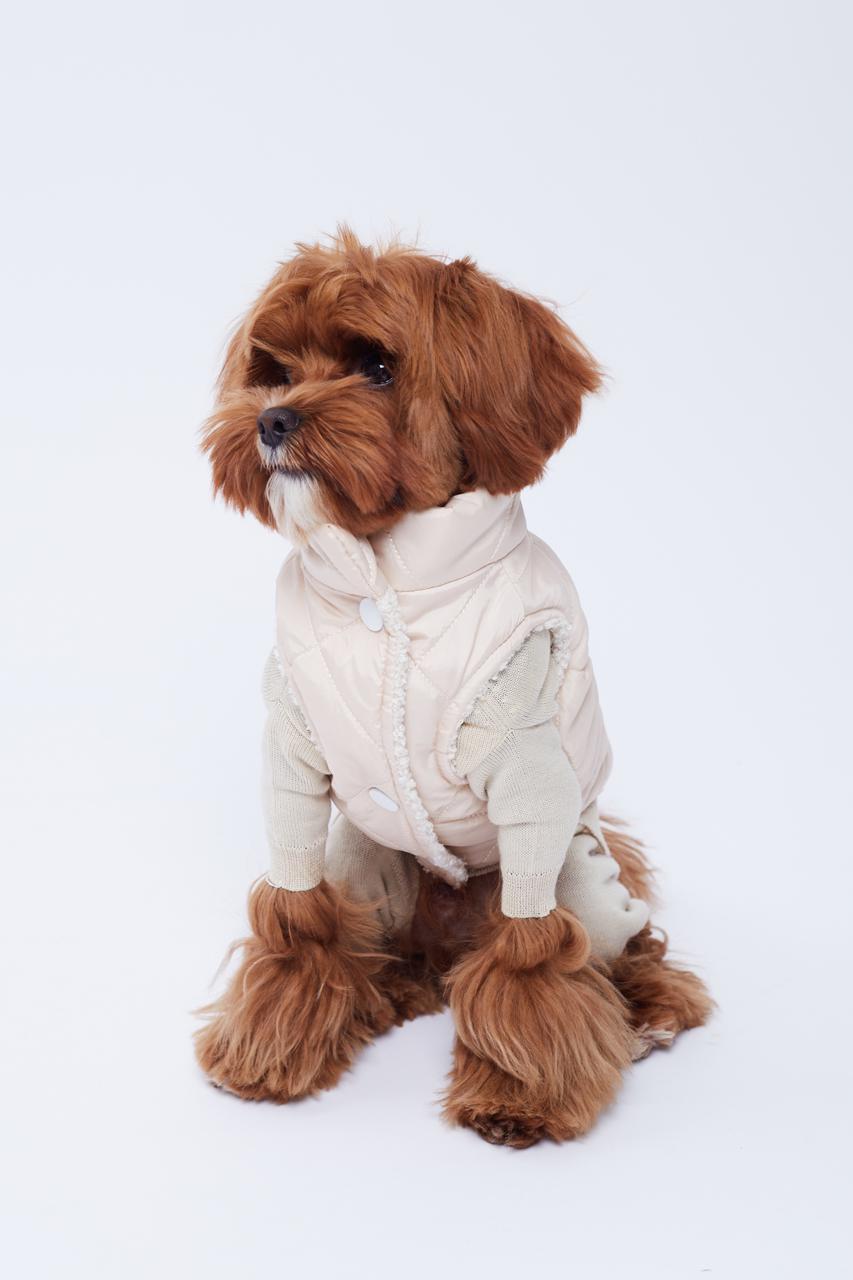 Фото: Hug me dog