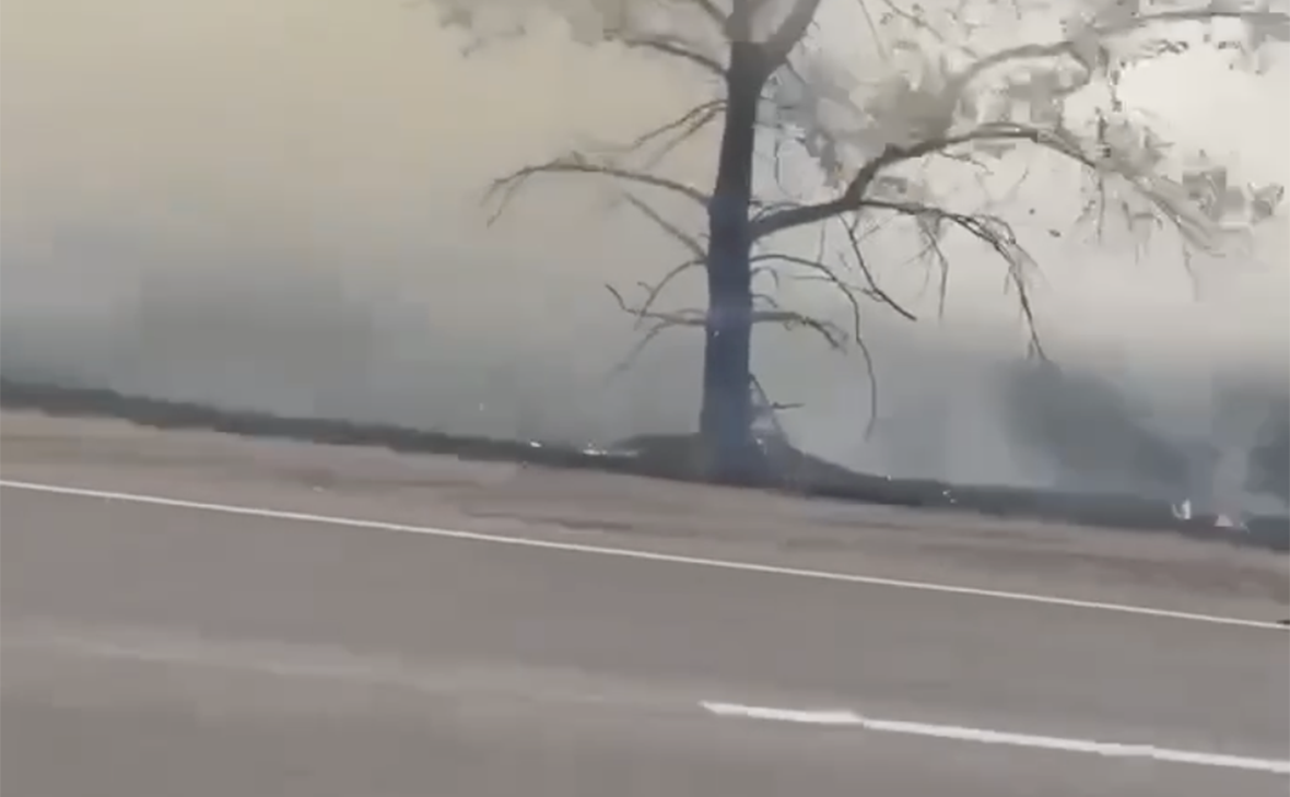 voronezh_r36 / Telegram