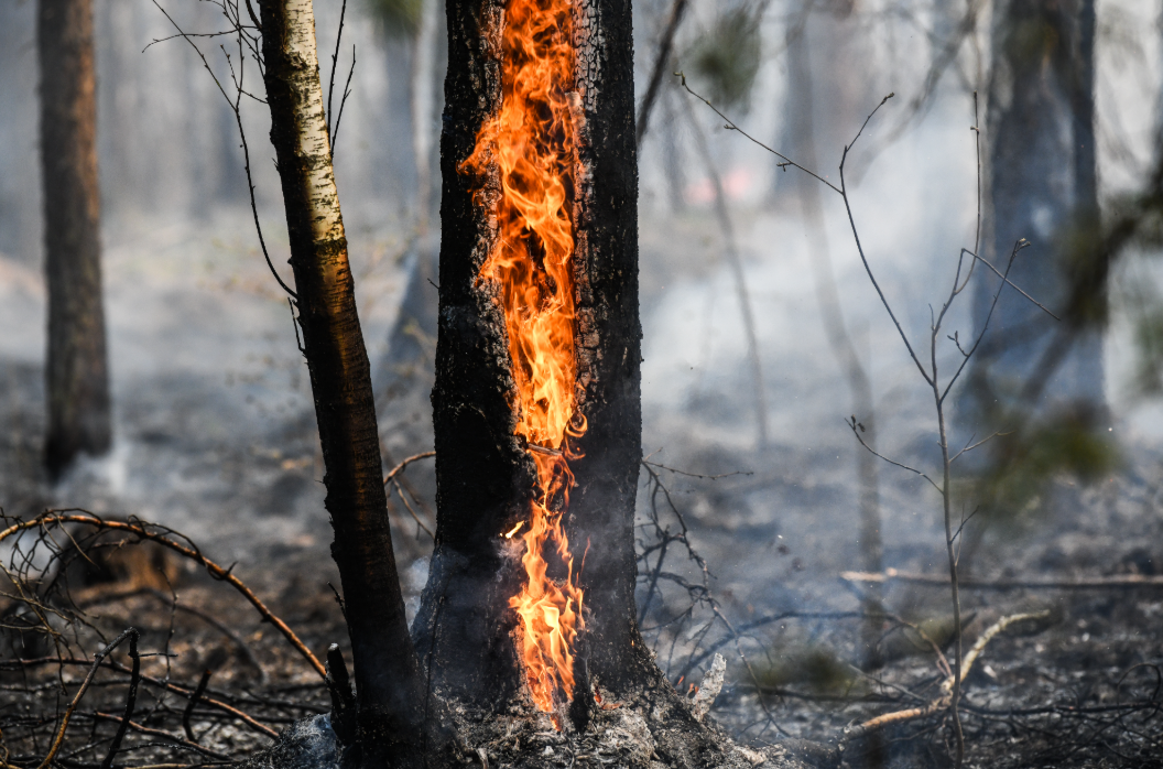 Владимир Жабриков / URA.RU